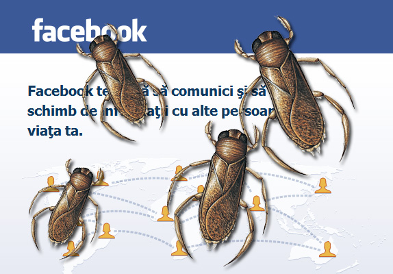 Facebook with bugs