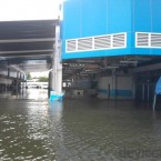 Western Digital inundatii fabrica 4